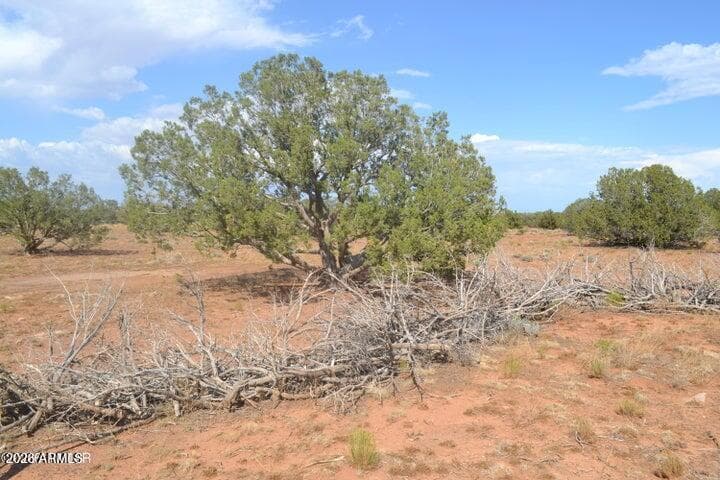 1771 W RIDGEVIEW RANCH Drive, Snowflake, AZ 85937 — photo 10 of 29