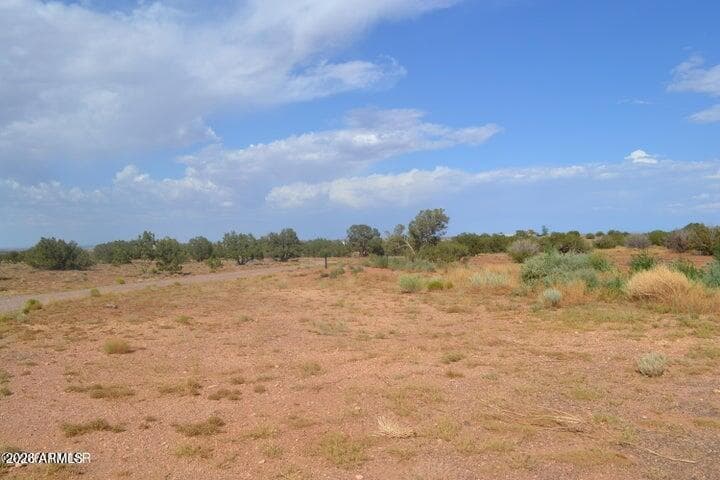 1771 W RIDGEVIEW RANCH Drive, Snowflake, AZ 85937 — photo 13 of 29