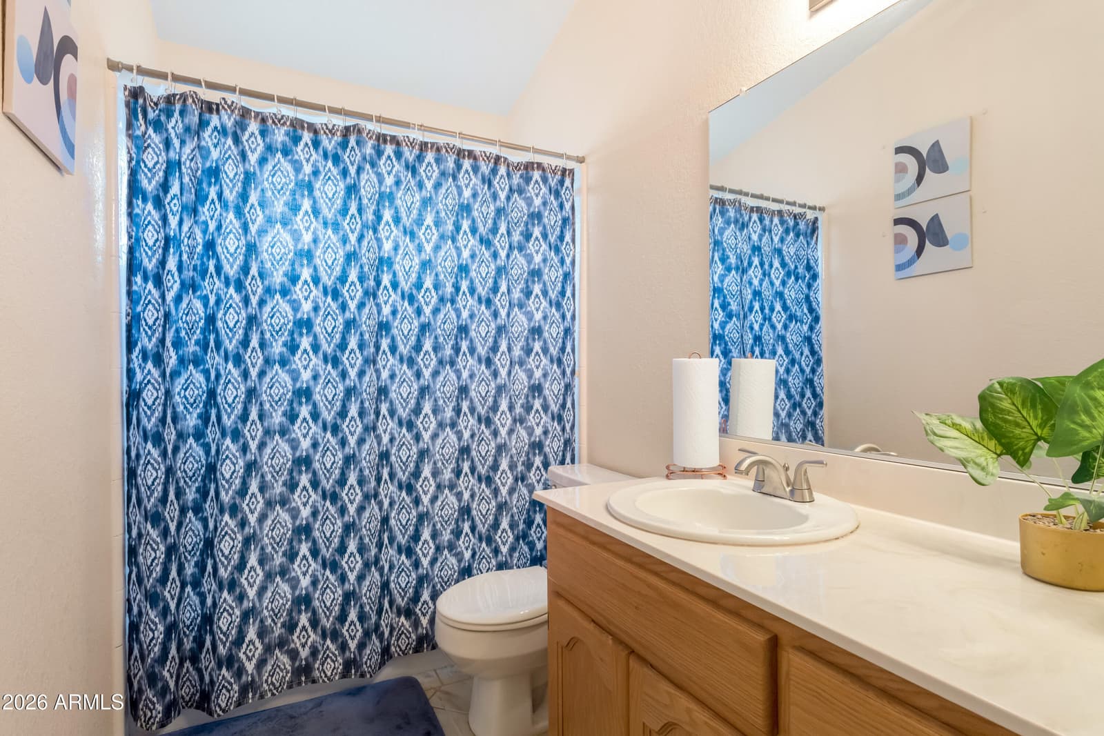 3033 Player Avenue, Sierra Vista, AZ 85650 — photo 33 of 41