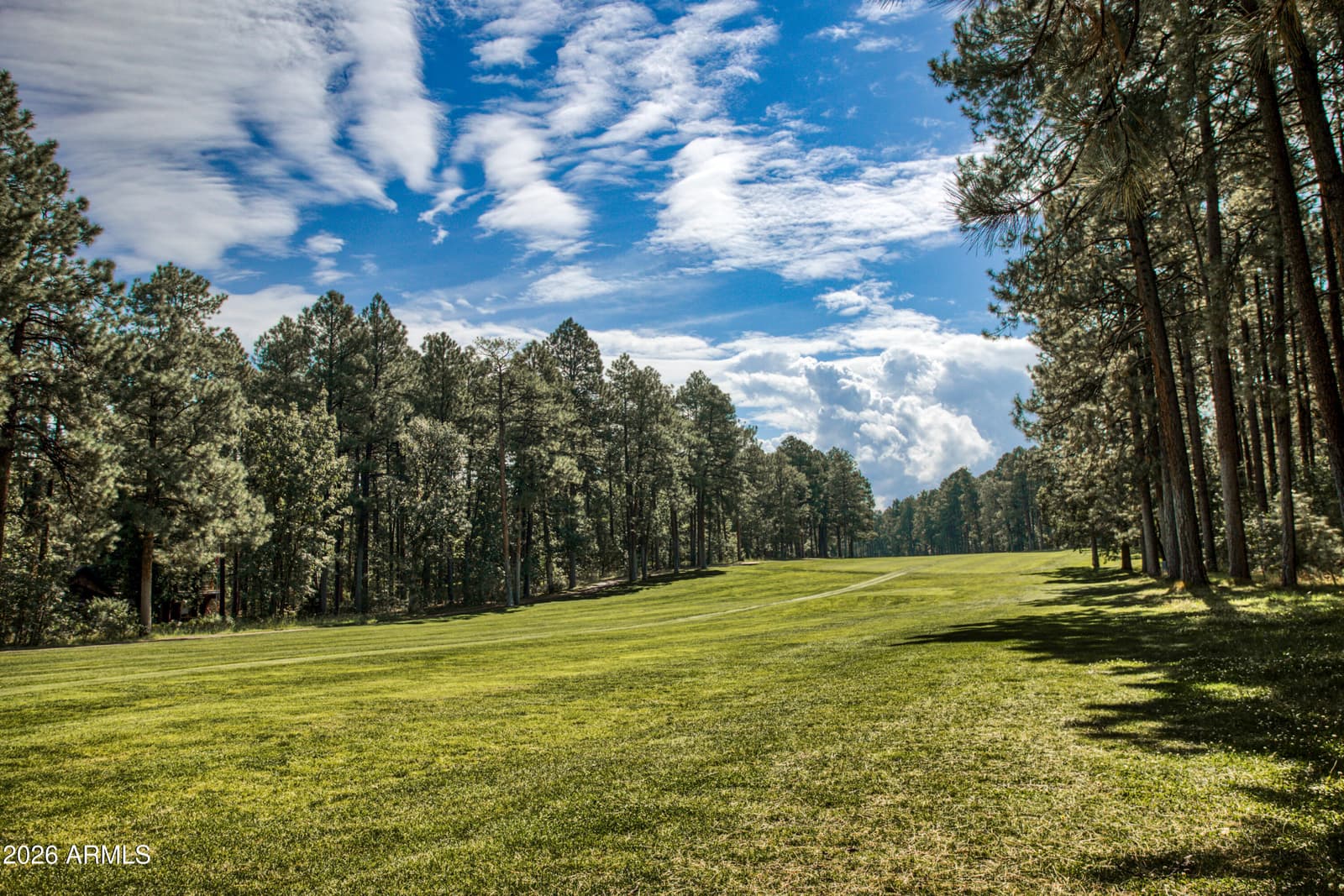 2864 WOODPECKER Lane, Pinetop, AZ 85935 — photo 38 of 44