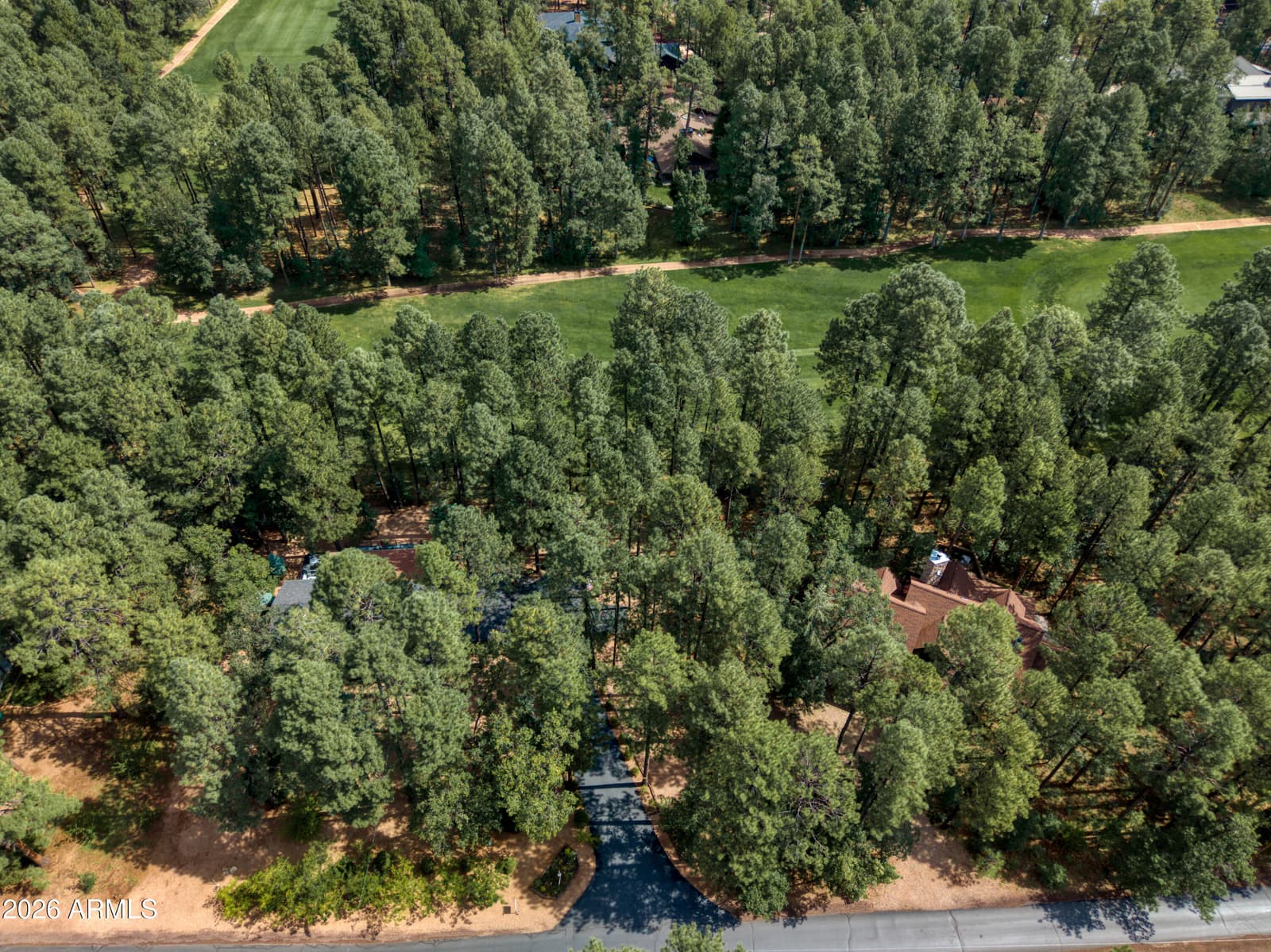 2864 WOODPECKER Lane, Pinetop, AZ 85935 — photo 42 of 44