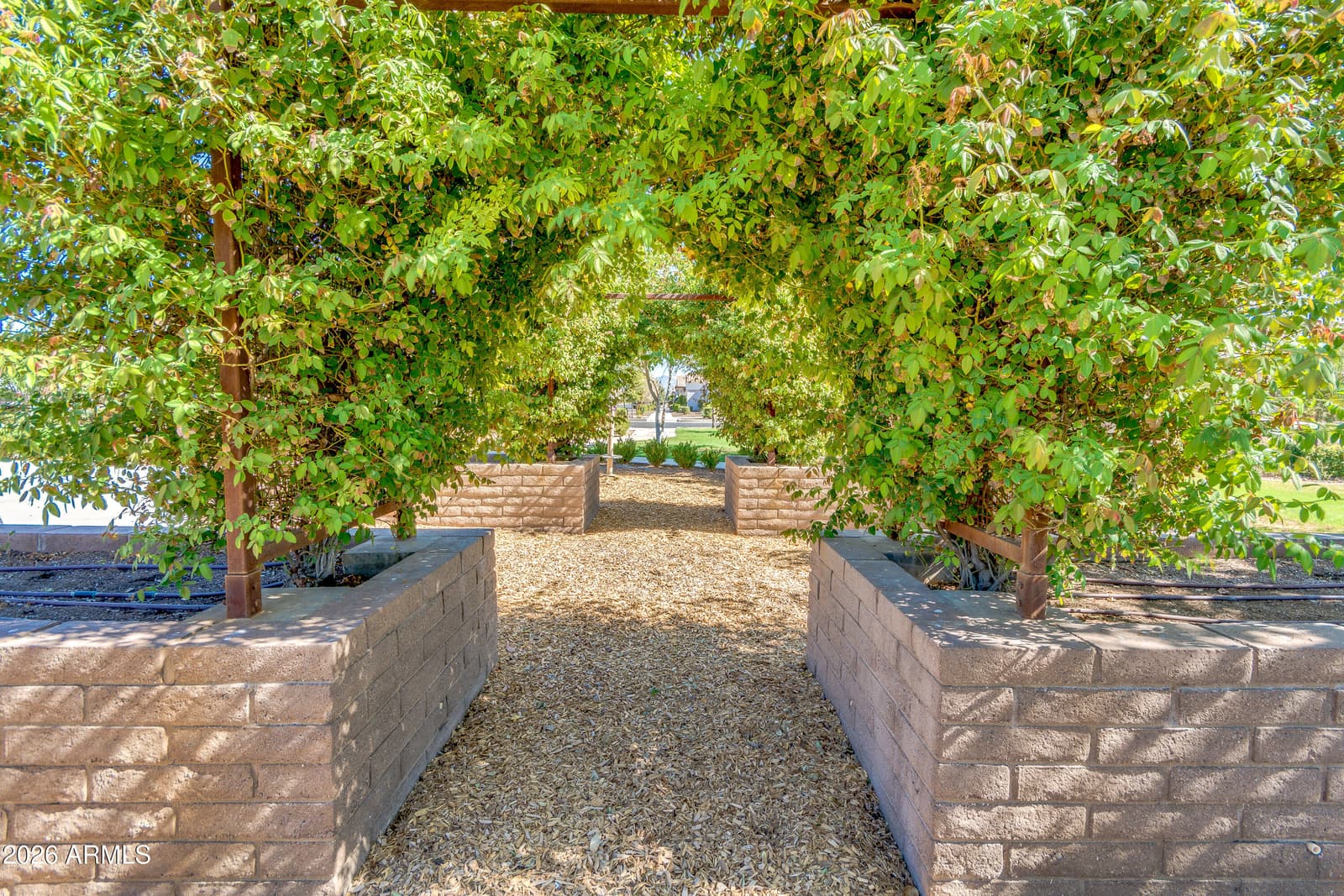 9920 E TAMERY Avenue, Mesa, AZ 85212 — photo 49 of 119