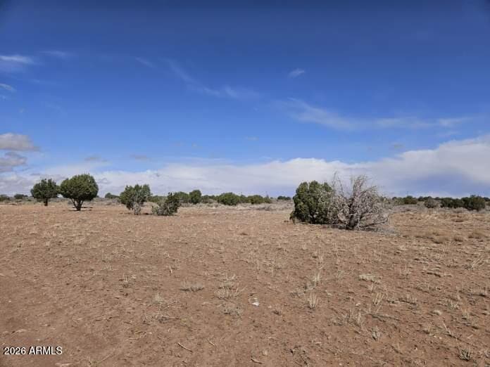 15 N 9079, Concho, AZ 85924 — photo 3 of 10