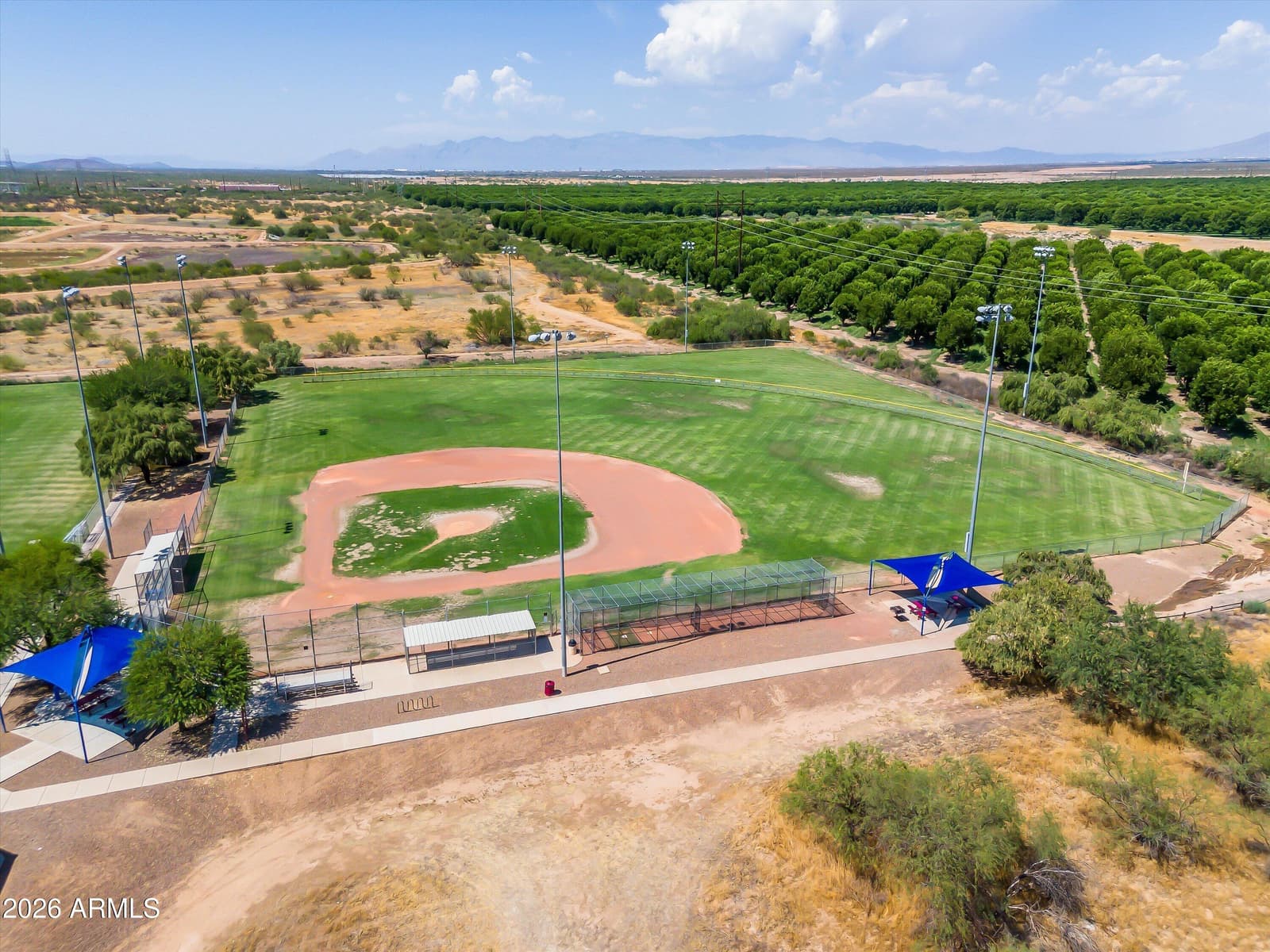 304 E Western Hemlock Place, Sahuarita, AZ 85629 — photo 41 of 50