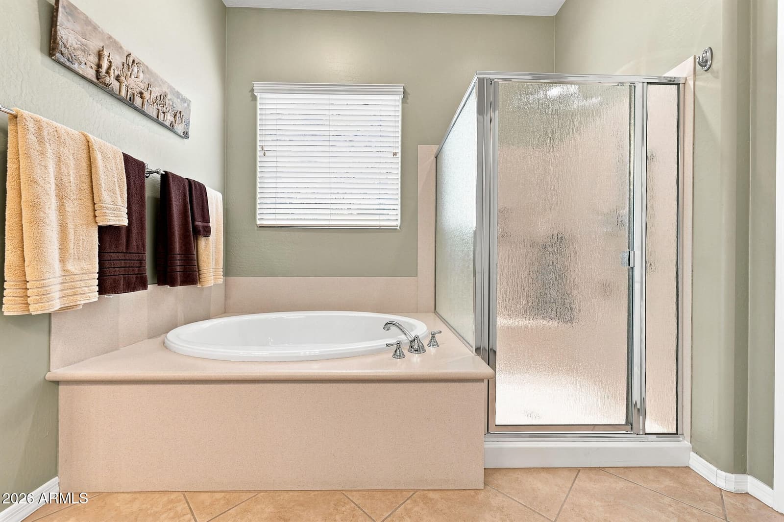 20515 N 264th Avenue, Buckeye, AZ 85396 — photo 19 of 56