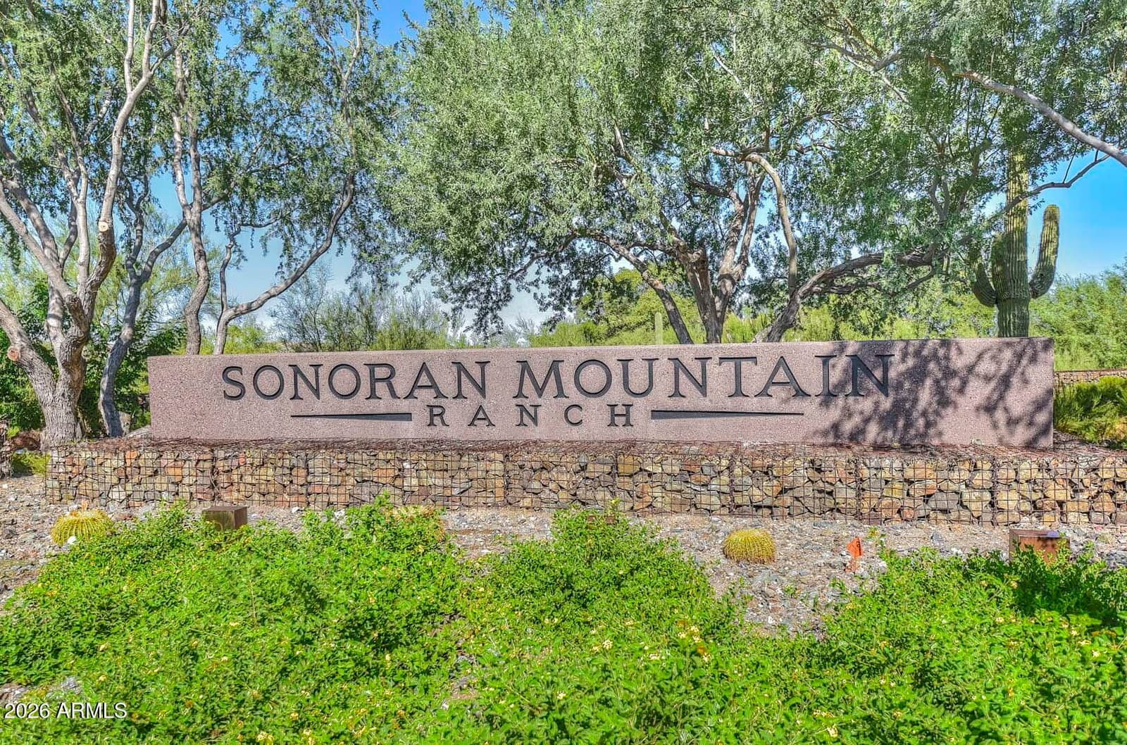 28638 N 68th Drive, Peoria, AZ 85383 — photo 74 of 76