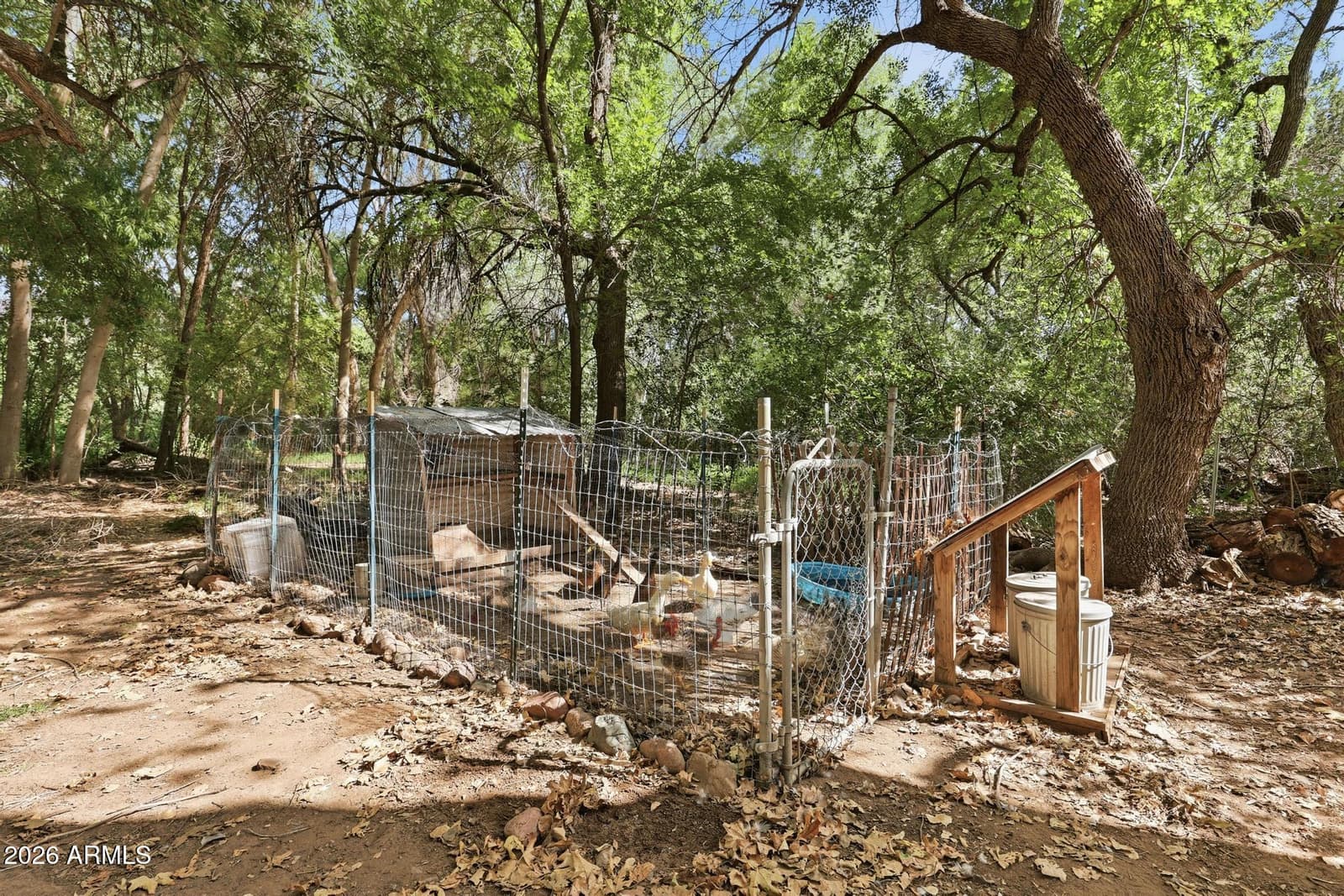 342 E WINDY Way, Payson, AZ 85541 — photo 45 of 61