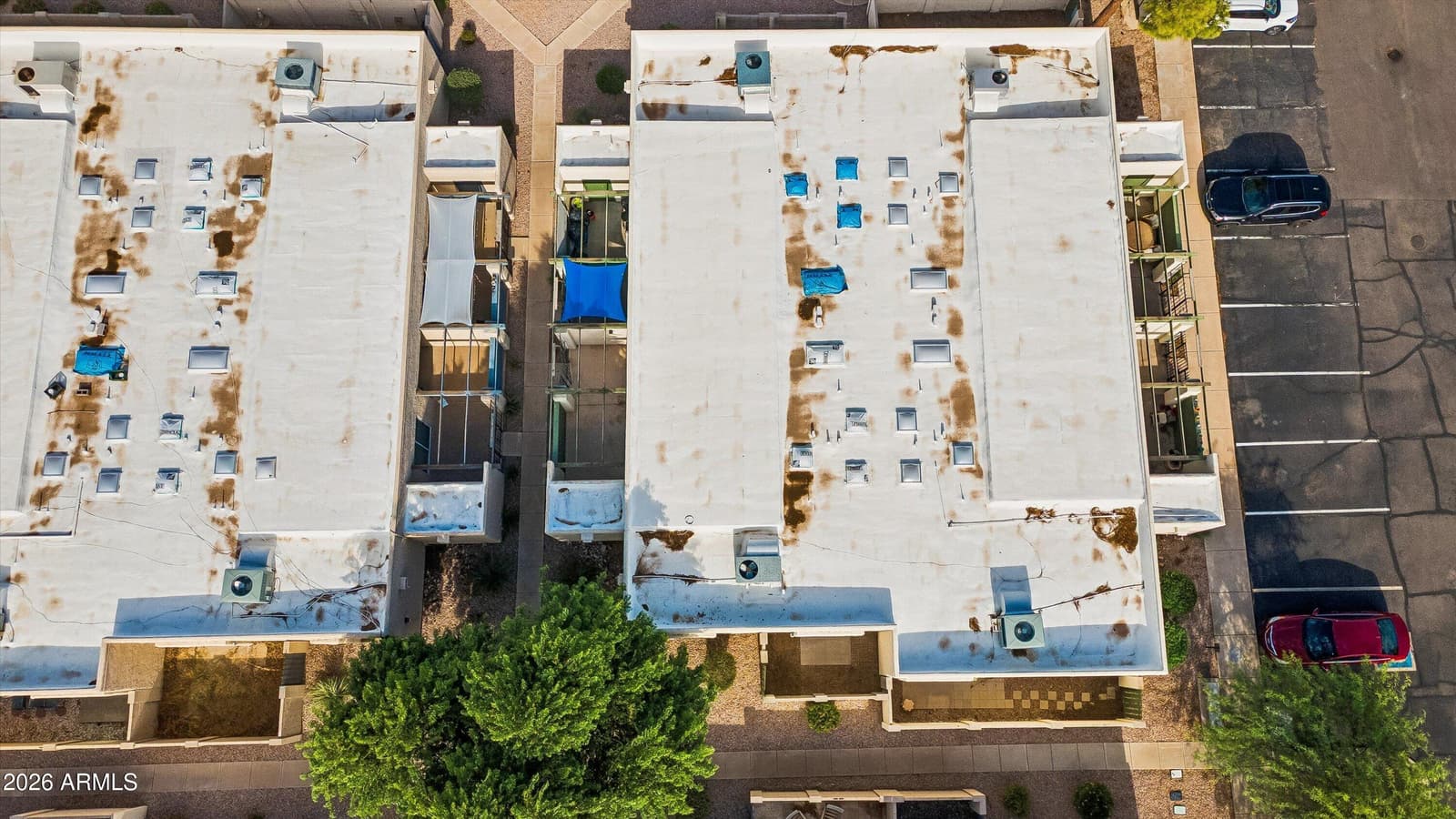 2446 E 5th Place, Tempe, AZ 85288 — photo 57 of 58