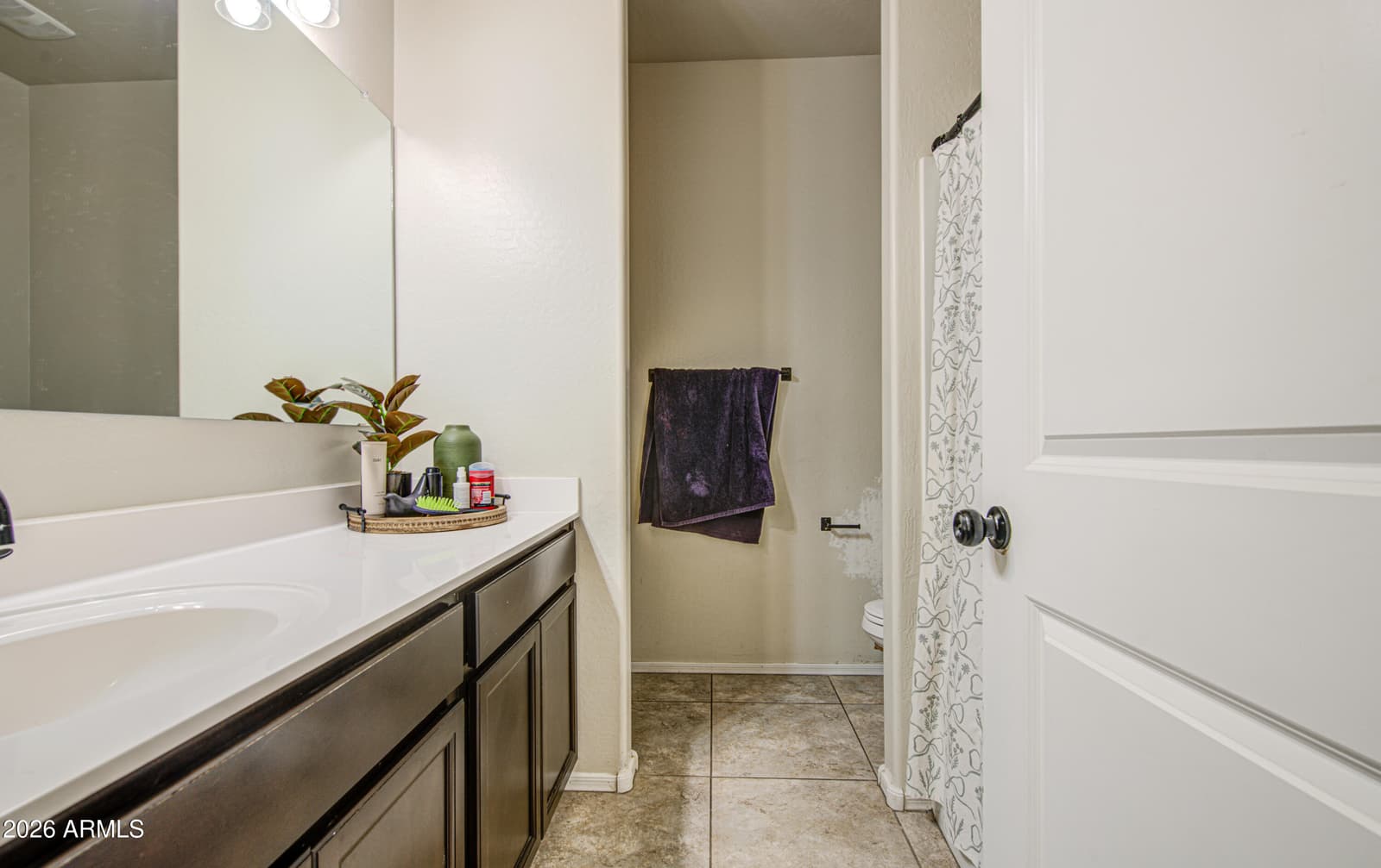 30973 W Mitchell Drive, Buckeye, AZ 85396 — photo 38 of 47