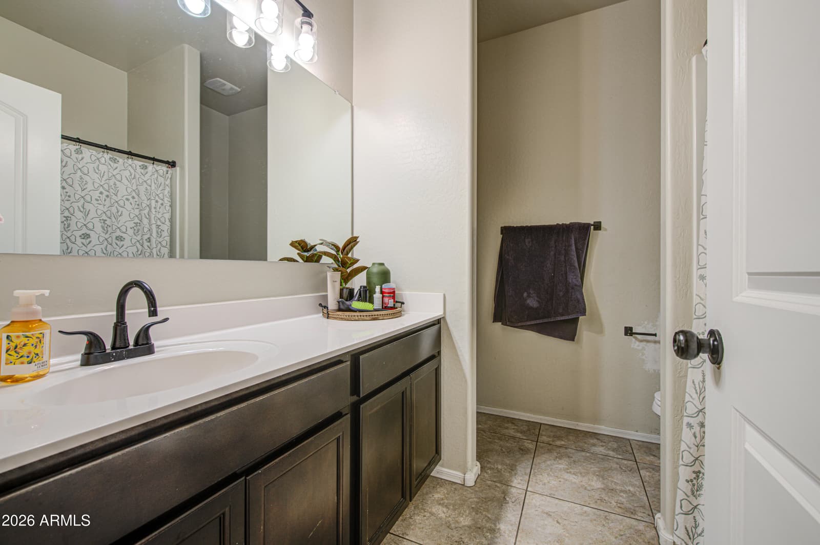 30973 W Mitchell Drive, Buckeye, AZ 85396 — photo 39 of 47