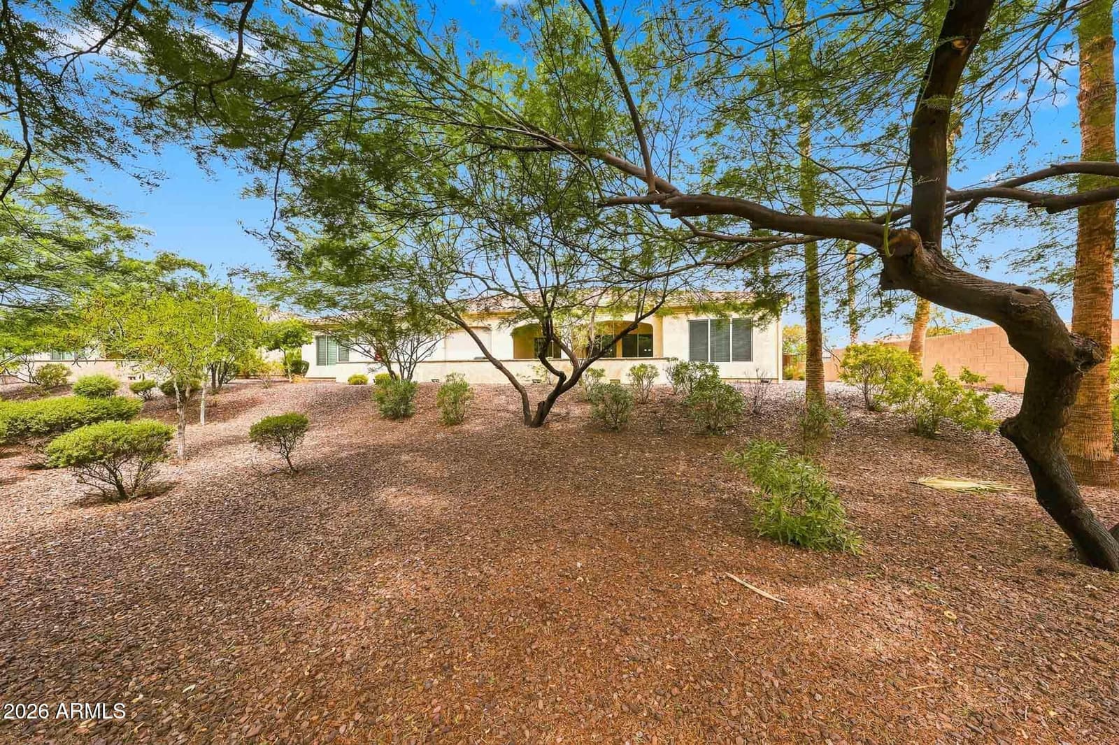 16907 W Holly Street, Goodyear, AZ 85395 — photo 41 of 64