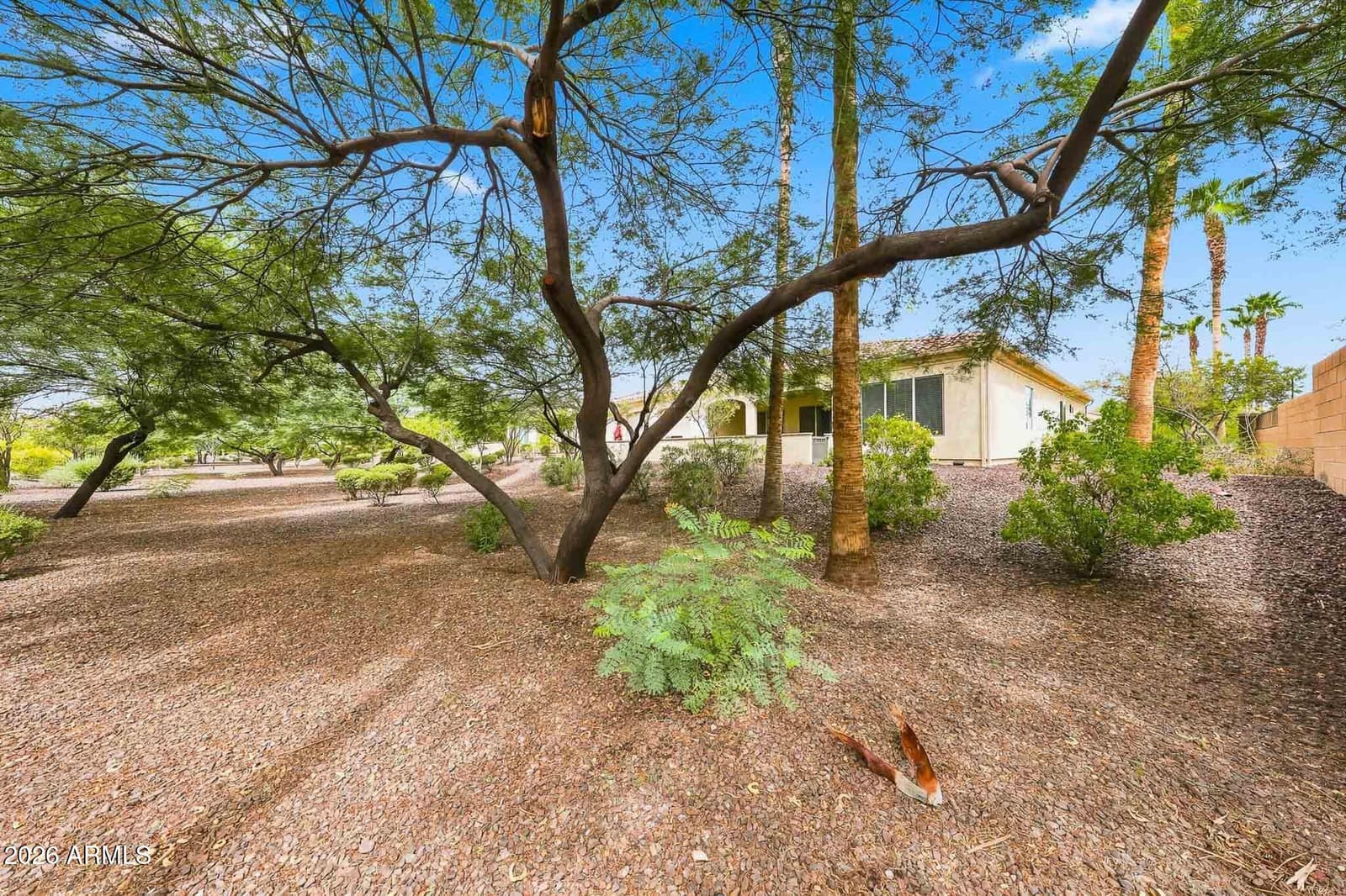 16907 W Holly Street, Goodyear, AZ 85395 — photo 40 of 64