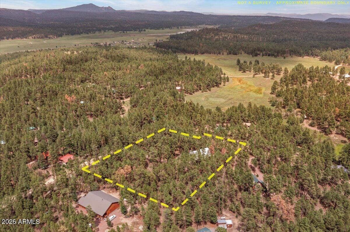 14 County Road 2135, Alpine, AZ 85920 — photo 41 of 46