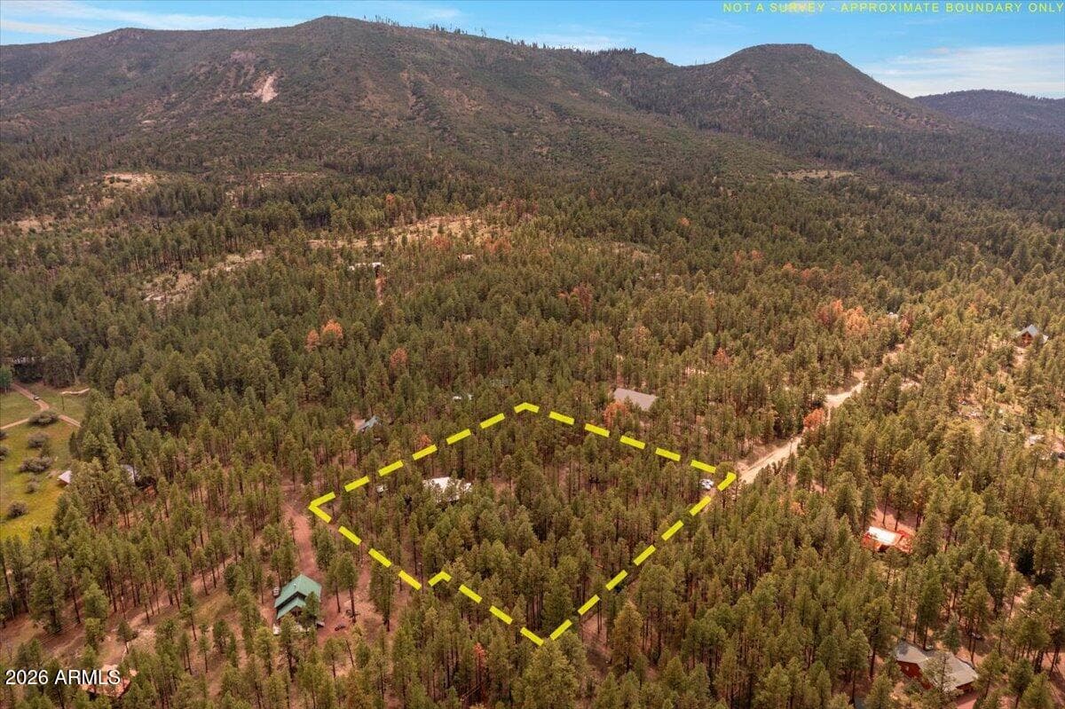 14 County Road 2135, Alpine, AZ 85920 — photo 43 of 46
