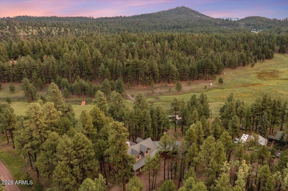 36 N County Road 2147, Alpine, AZ 85920 — photo 60 of 67