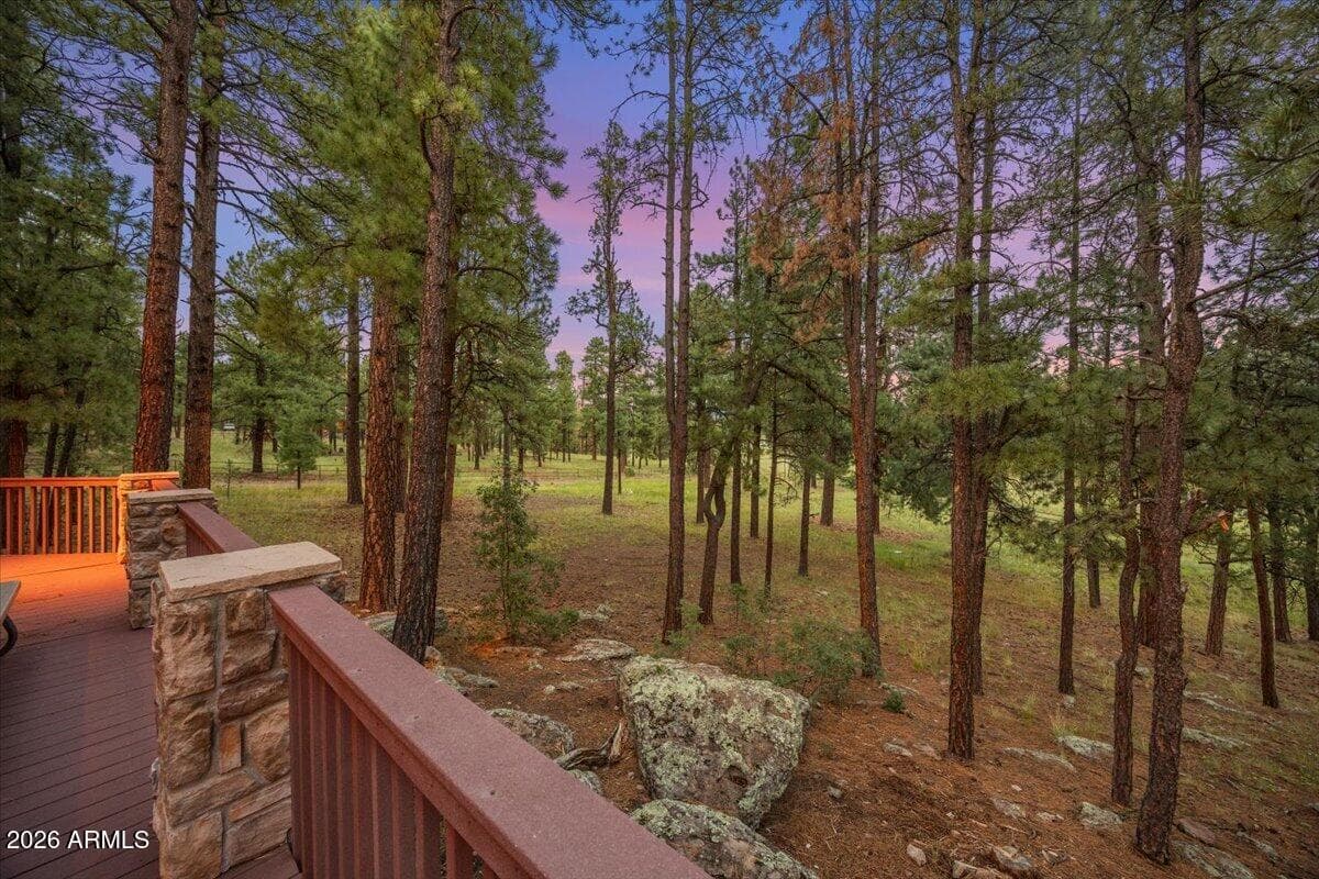 36 N County Road 2147, Alpine, AZ 85920 — photo 55 of 67