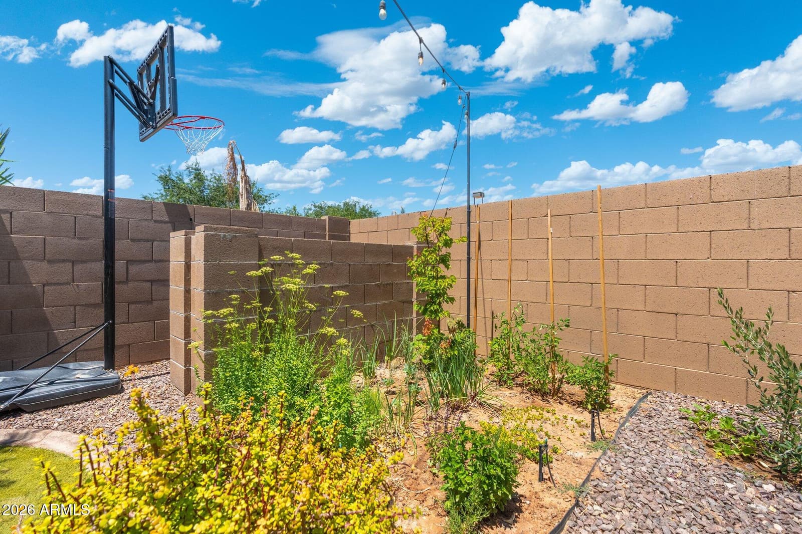 4960 E Colonial Drive, Chandler, AZ 85249 — photo 71 of 96