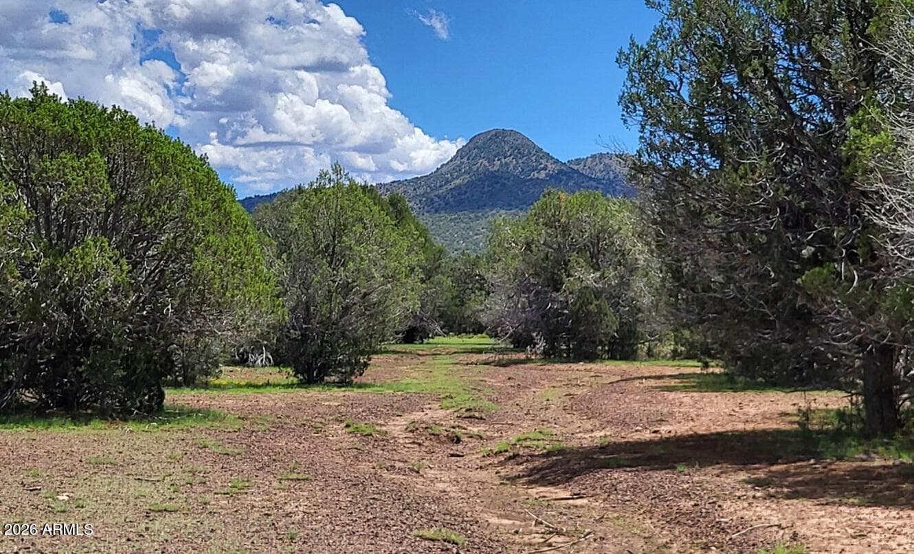 13664 Round Mountain Expressway, Williams, AZ 86046 — photo 17 of 43