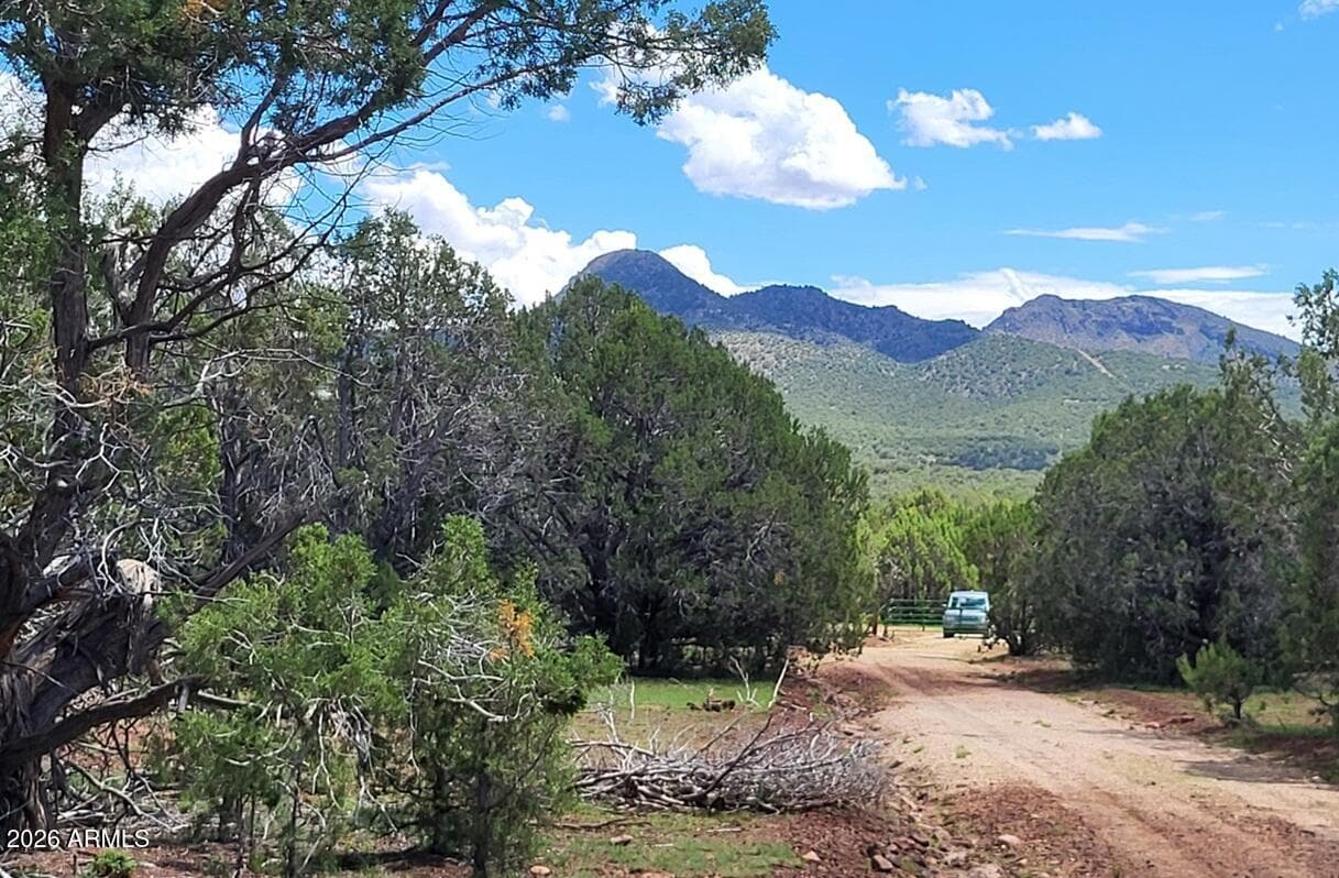 13664 Round Mountain Expressway, Williams, AZ 86046 — photo 1 of 43