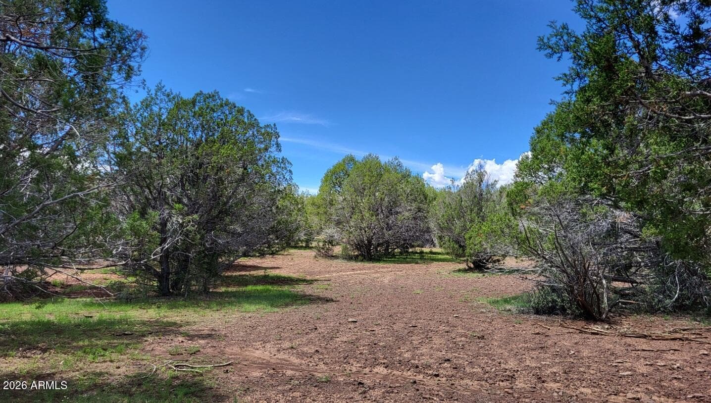 13664 Round Mountain Expressway, Williams, AZ 86046 — photo 18 of 43