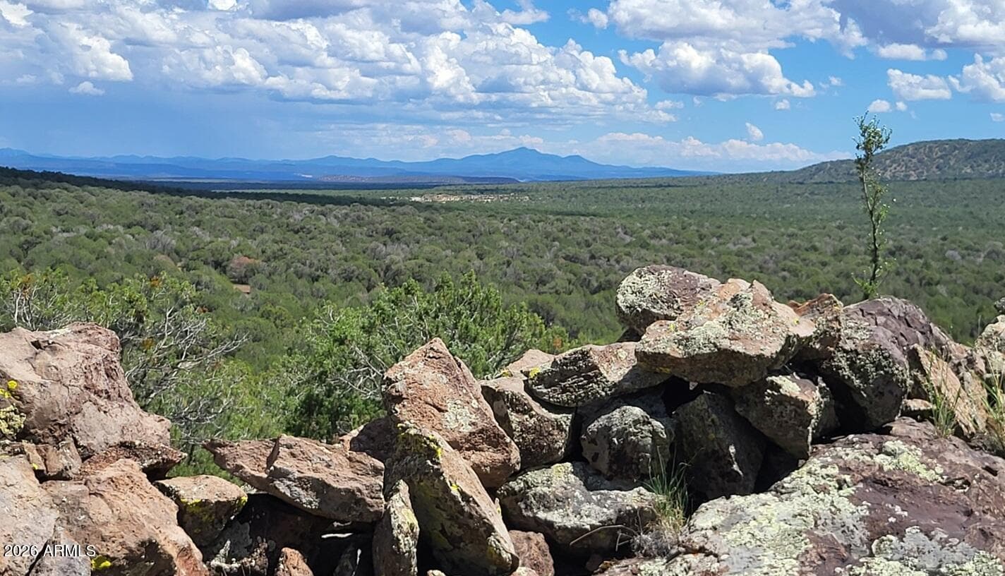 13664 Round Mountain Expressway, Williams, AZ 86046 — photo 23 of 43