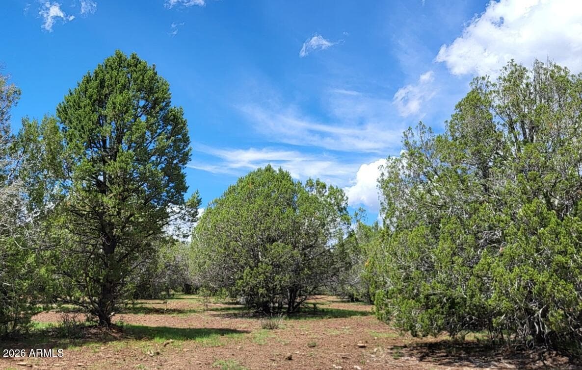 13664 Round Mountain Expressway, Williams, AZ 86046 — photo 41 of 43