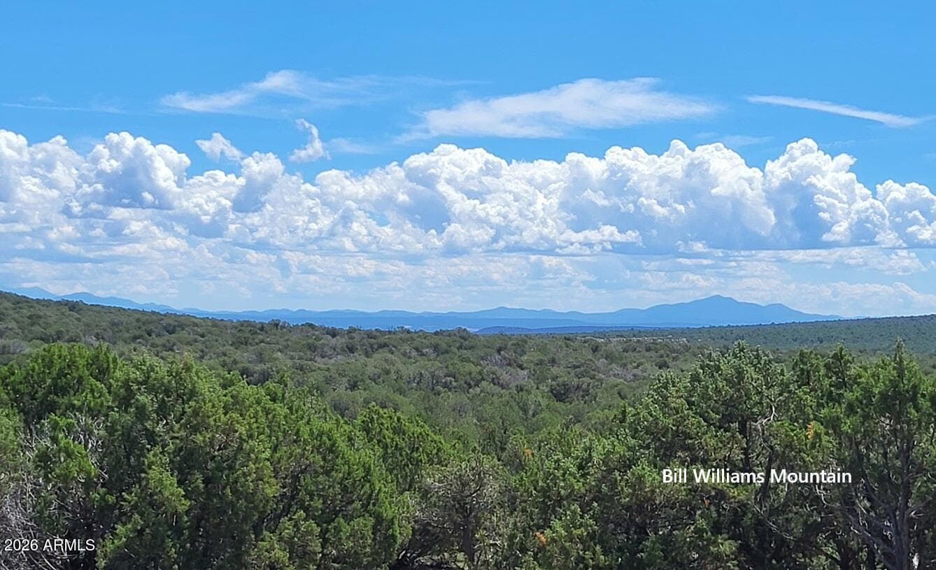 13664 Round Mountain Expressway, Williams, AZ 86046 — photo 30 of 43