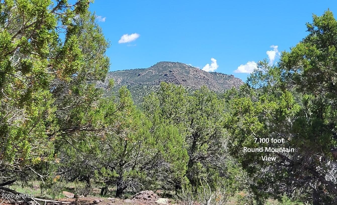 13664 Round Mountain Expressway, Williams, AZ 86046 — photo 29 of 43