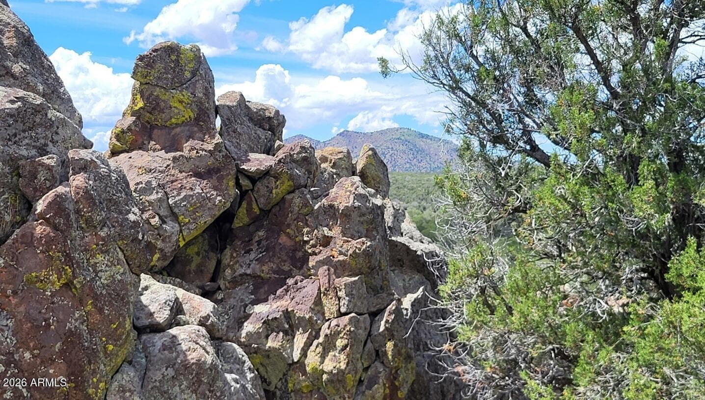 13664 Round Mountain Expressway, Williams, AZ 86046 — photo 42 of 43