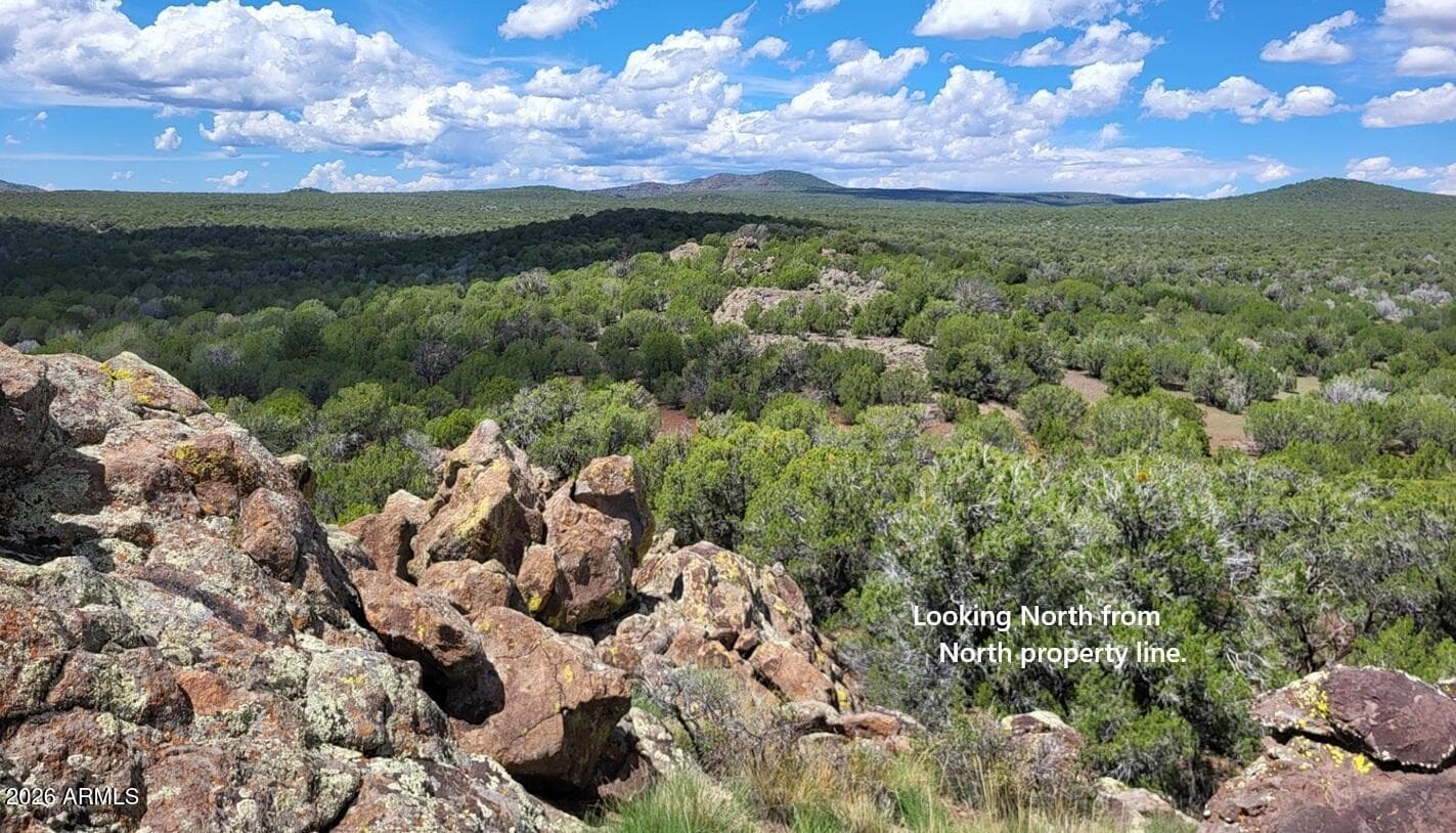 13664 Round Mountain Expressway, Williams, AZ 86046 — photo 43 of 43