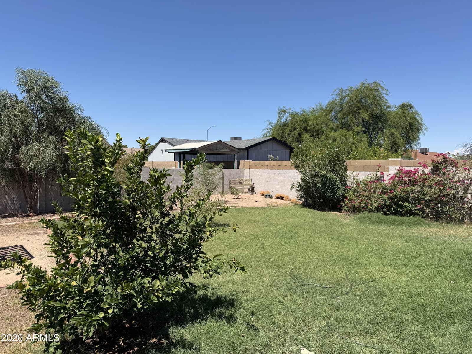 1404 N Bellview, Mesa, AZ 85203 — photo 3 of 3
