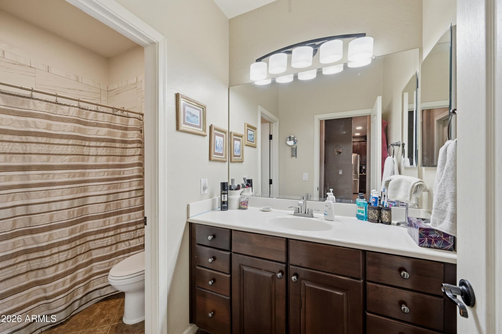 17869 W Carmen Drive, Surprise, AZ 85388 — photo 18 of 55