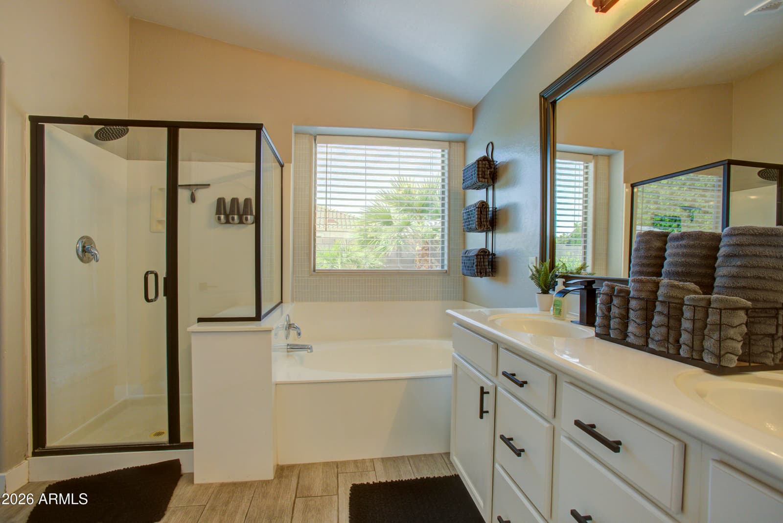17749 W Andora Street, Surprise, AZ 85388 — photo 47 of 58