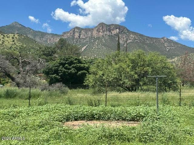 8112 S High Road, Hereford, AZ 85615 — photo 4 of 30
