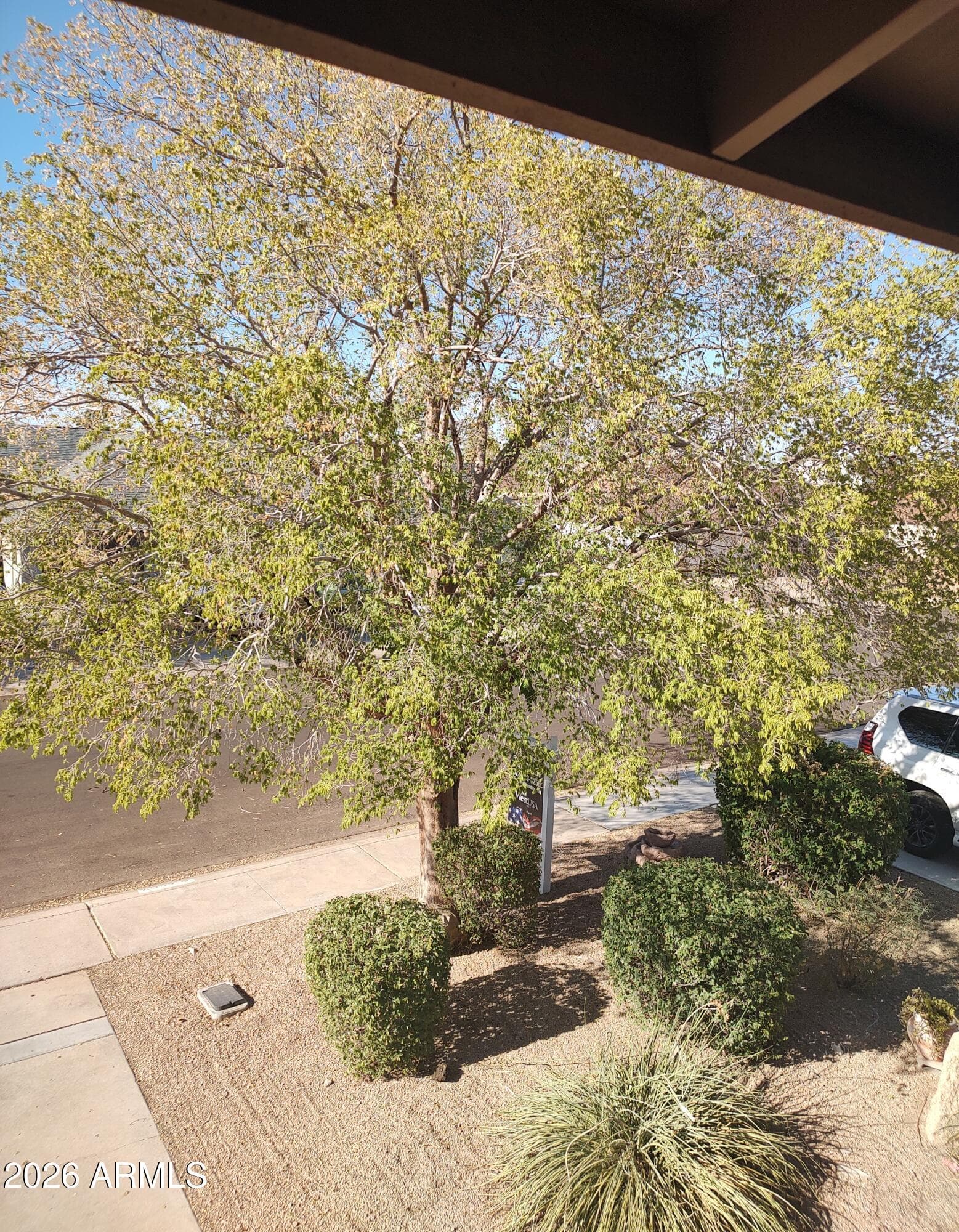 6207 W Altadena Avenue, Glendale, AZ 85304 — photo 47 of 47