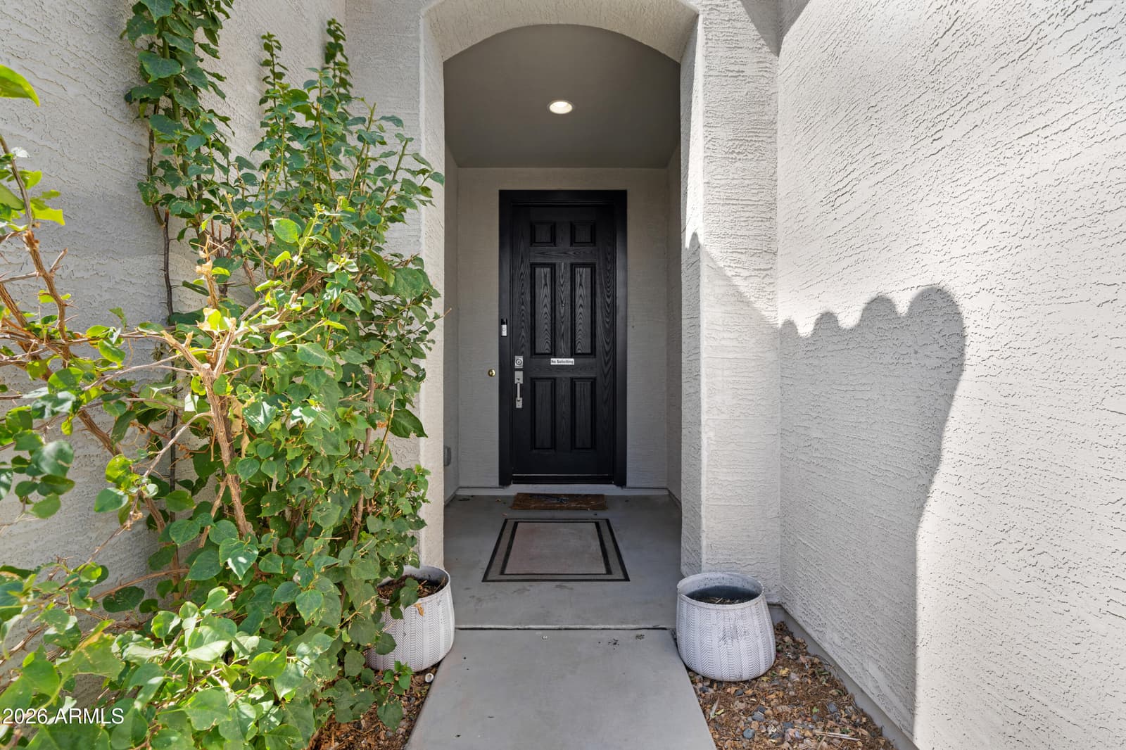 40730 W Haley Drive, Maricopa, AZ 85138 — photo 4 of 42
