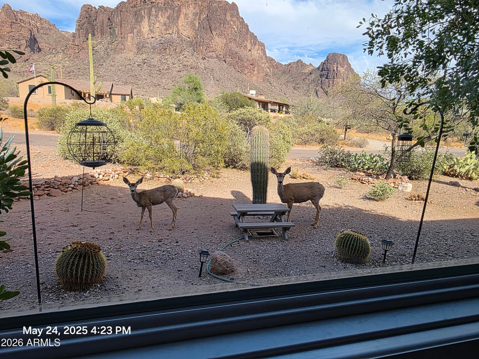 2564 N Charlebois Road, Apache Junction, AZ 85119 — photo 155 of 155