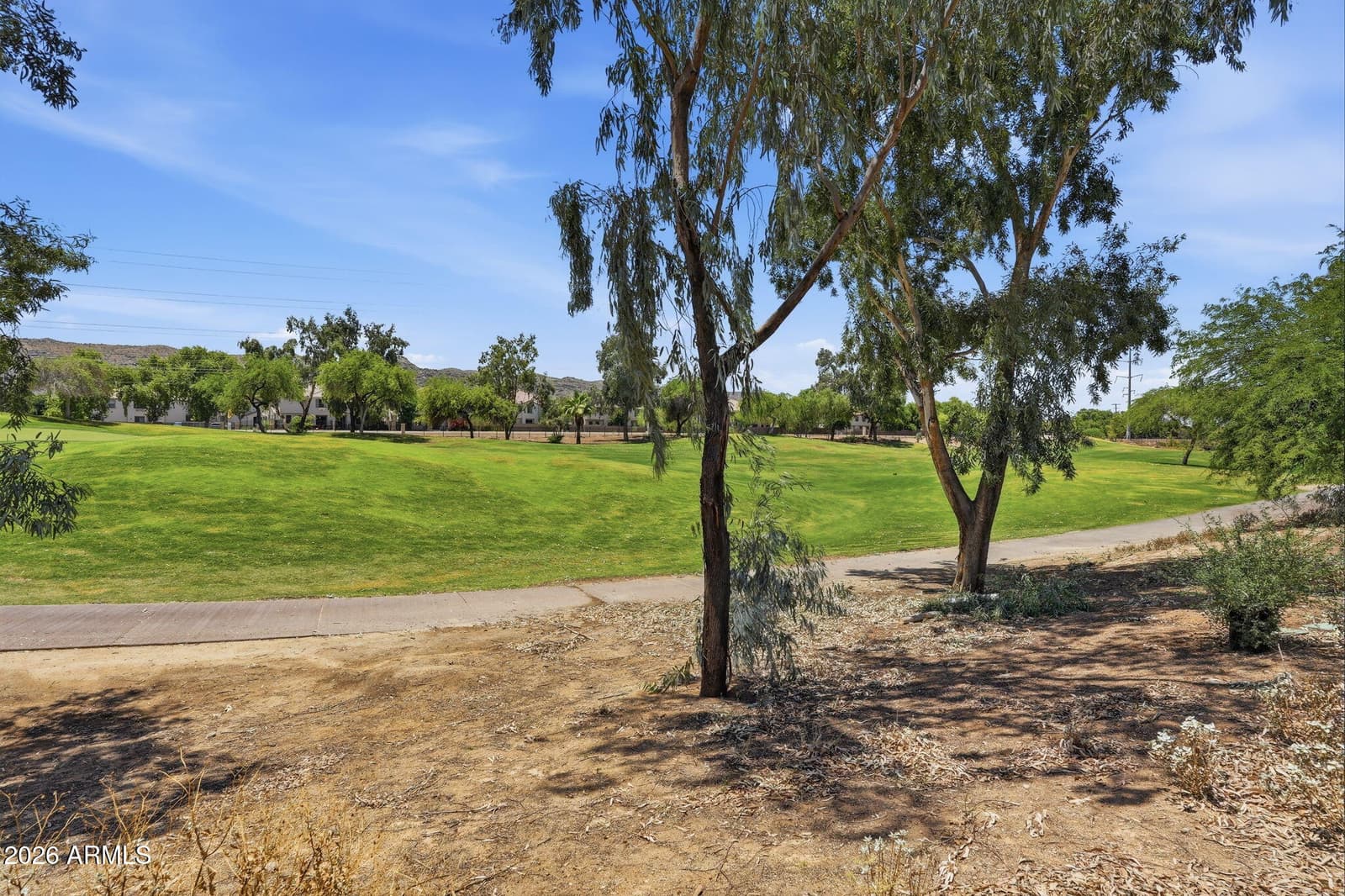 7235 S Golfside Lane, Phoenix, AZ 85042 — photo 38 of 60