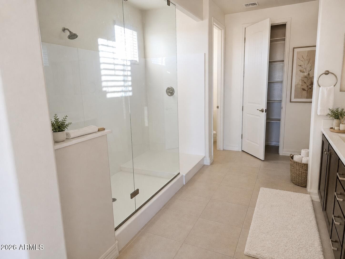 29405 N 224th Drive, Wittmann, AZ 85361 — photo 8 of 24