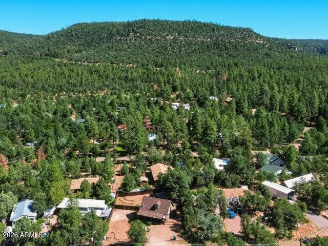 8076 W Lufkin Drive, Pine, AZ 85544 — photo 39 of 46