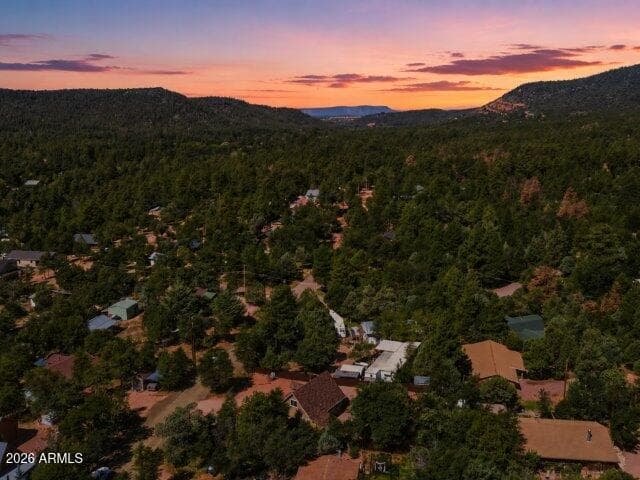 8076 W Lufkin Drive, Pine, AZ 85544 — photo 43 of 46