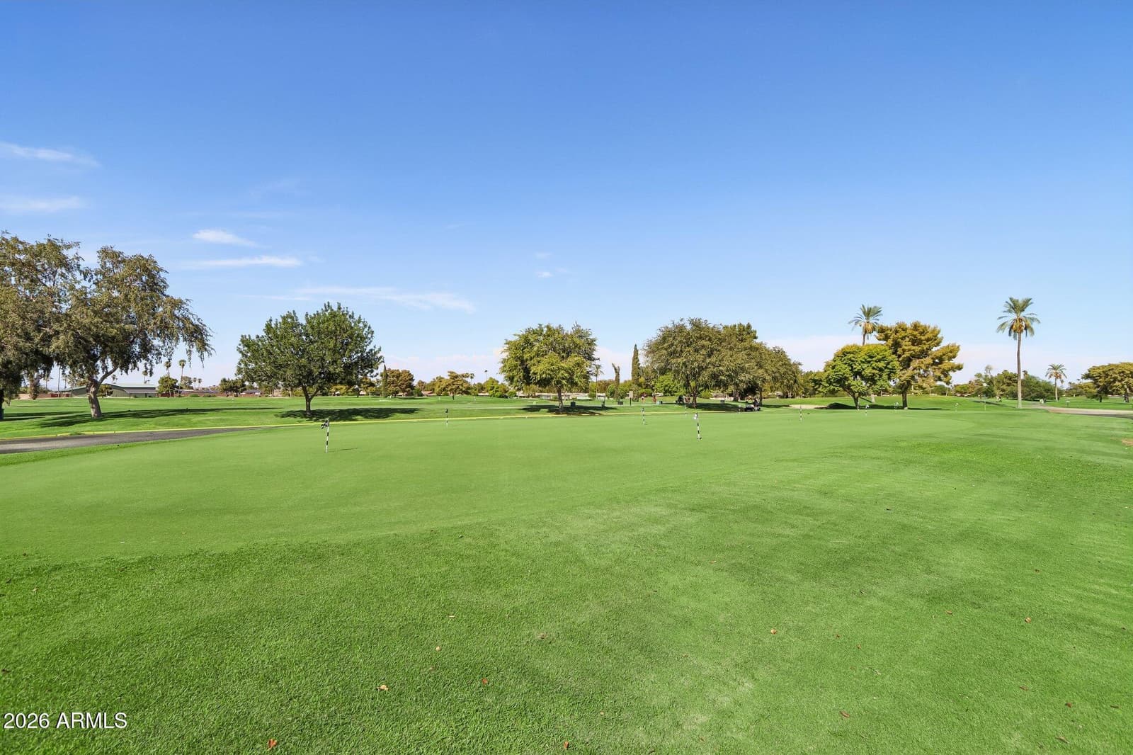 11129 W Jacaranda Drive, Sun City, AZ 85373 — photo 51 of 57