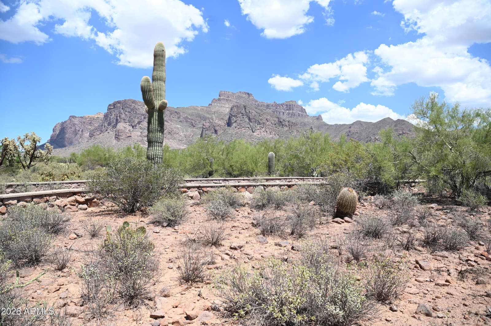 6160 E Roosevelt Street, Apache Junction, AZ 85119 — photo 3 of 47