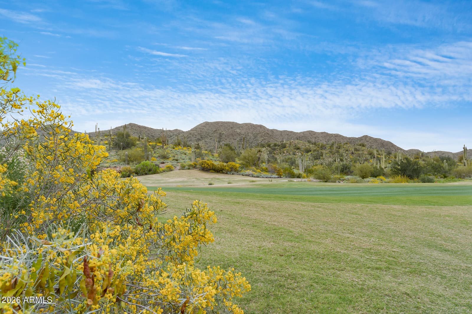 1713 W Morse Drive, Anthem, AZ 85086 — photo 47 of 49