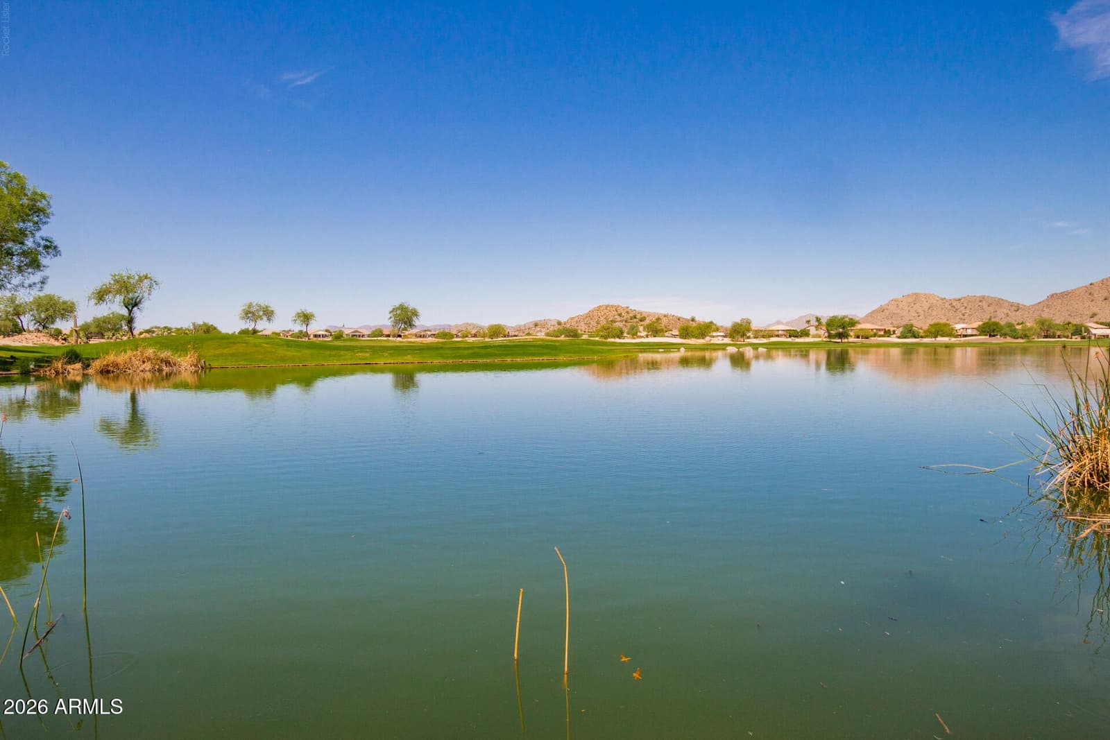 29213 N Shannon Drive, San Tan Valley, AZ 85143 — photo 43 of 43