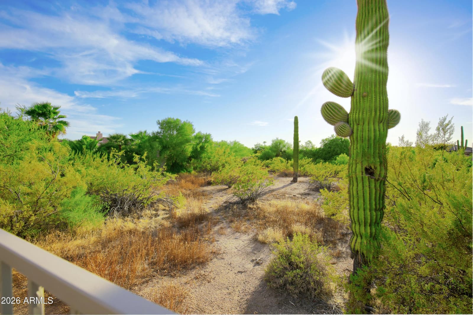 27028 N 47th Place, Cave Creek, AZ 85331 — photo 42 of 60
