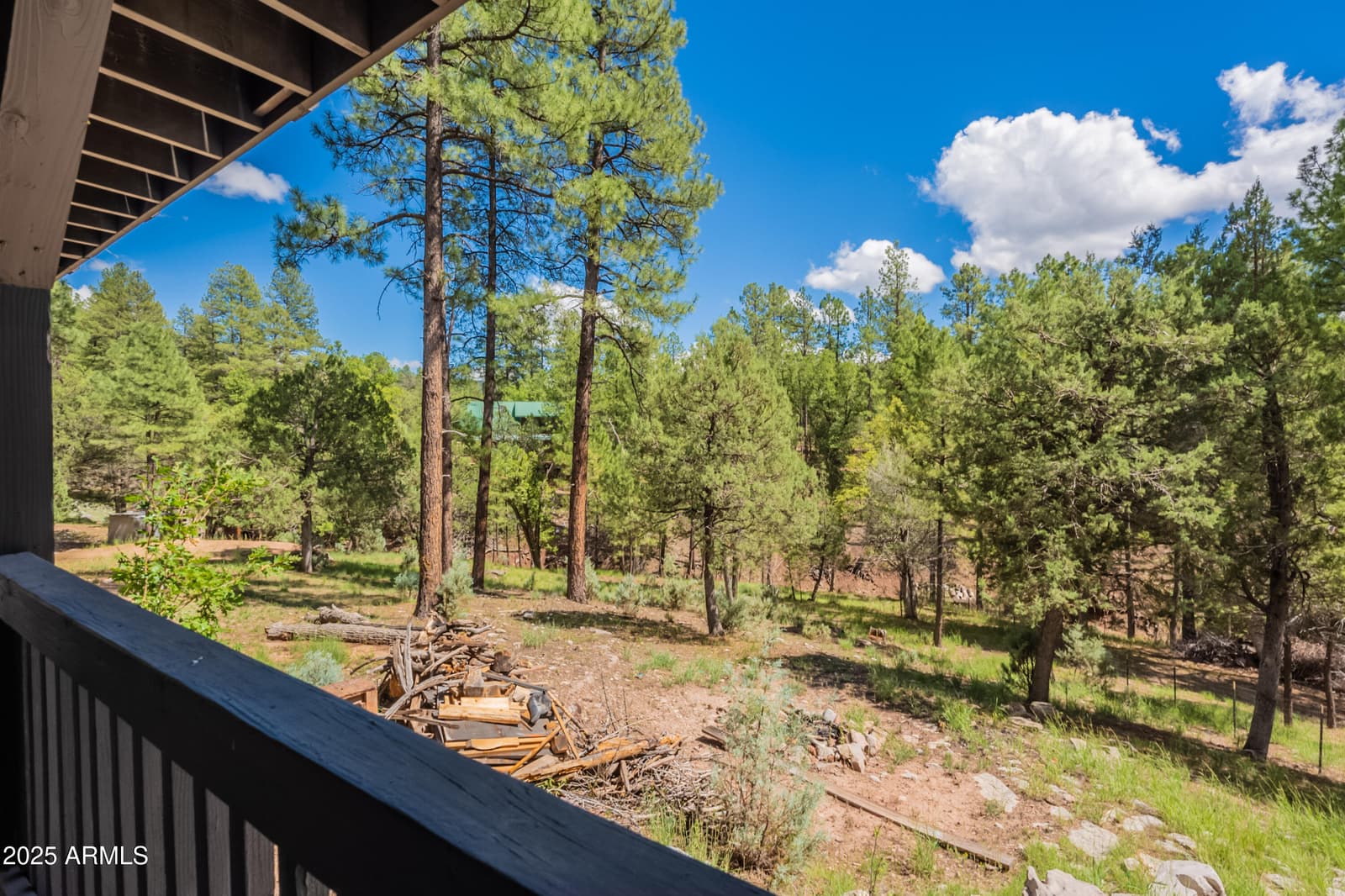 199 S Greystone Circle, Payson, AZ 85541 — photo 58 of 82