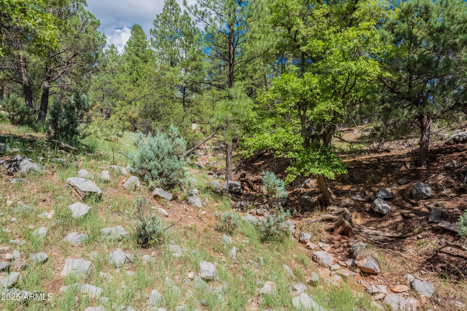 199 S Greystone Circle, Payson, AZ 85541 — photo 67 of 82