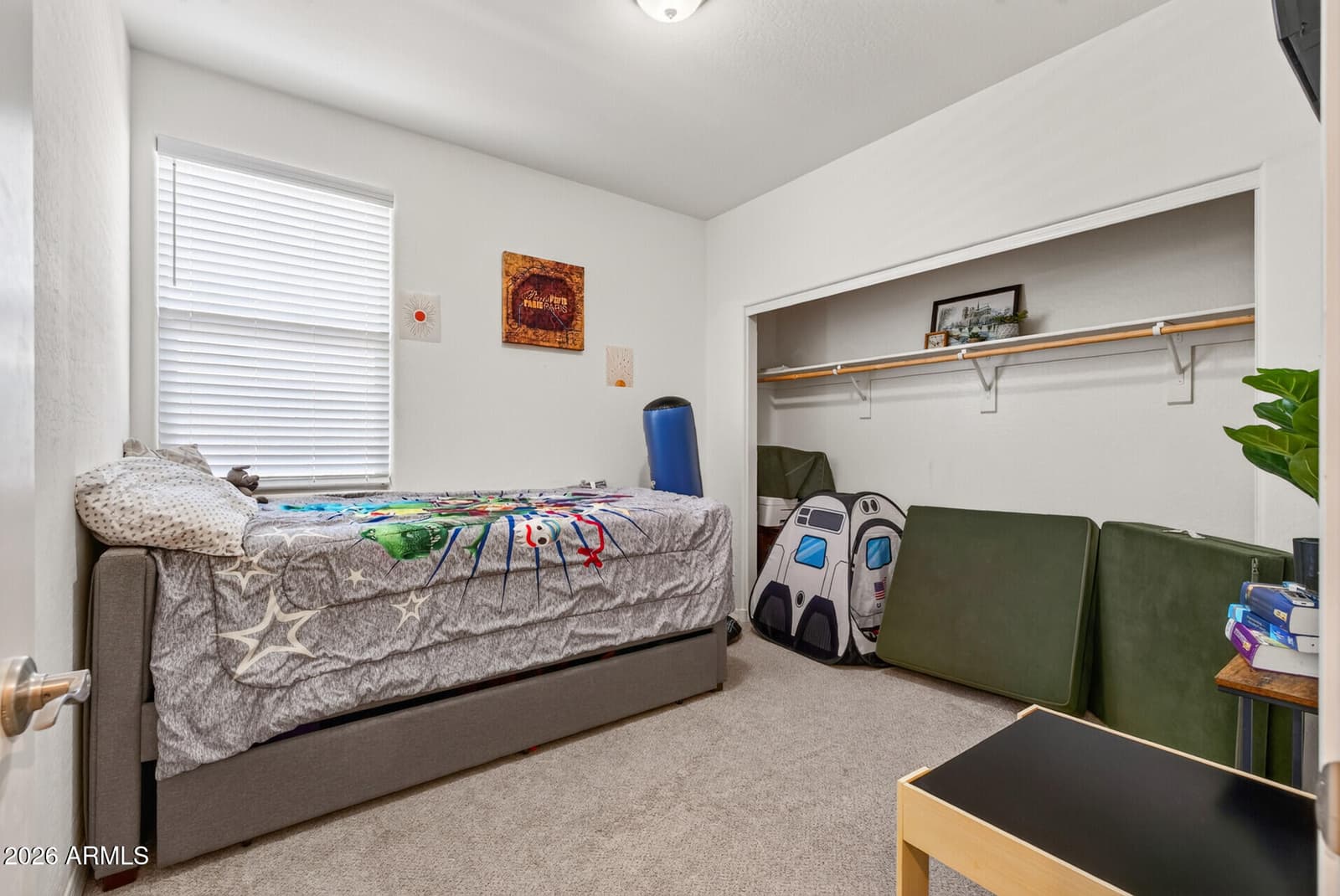 8757 W Jefferson Street, Tolleson, AZ 85353 — photo 48 of 76