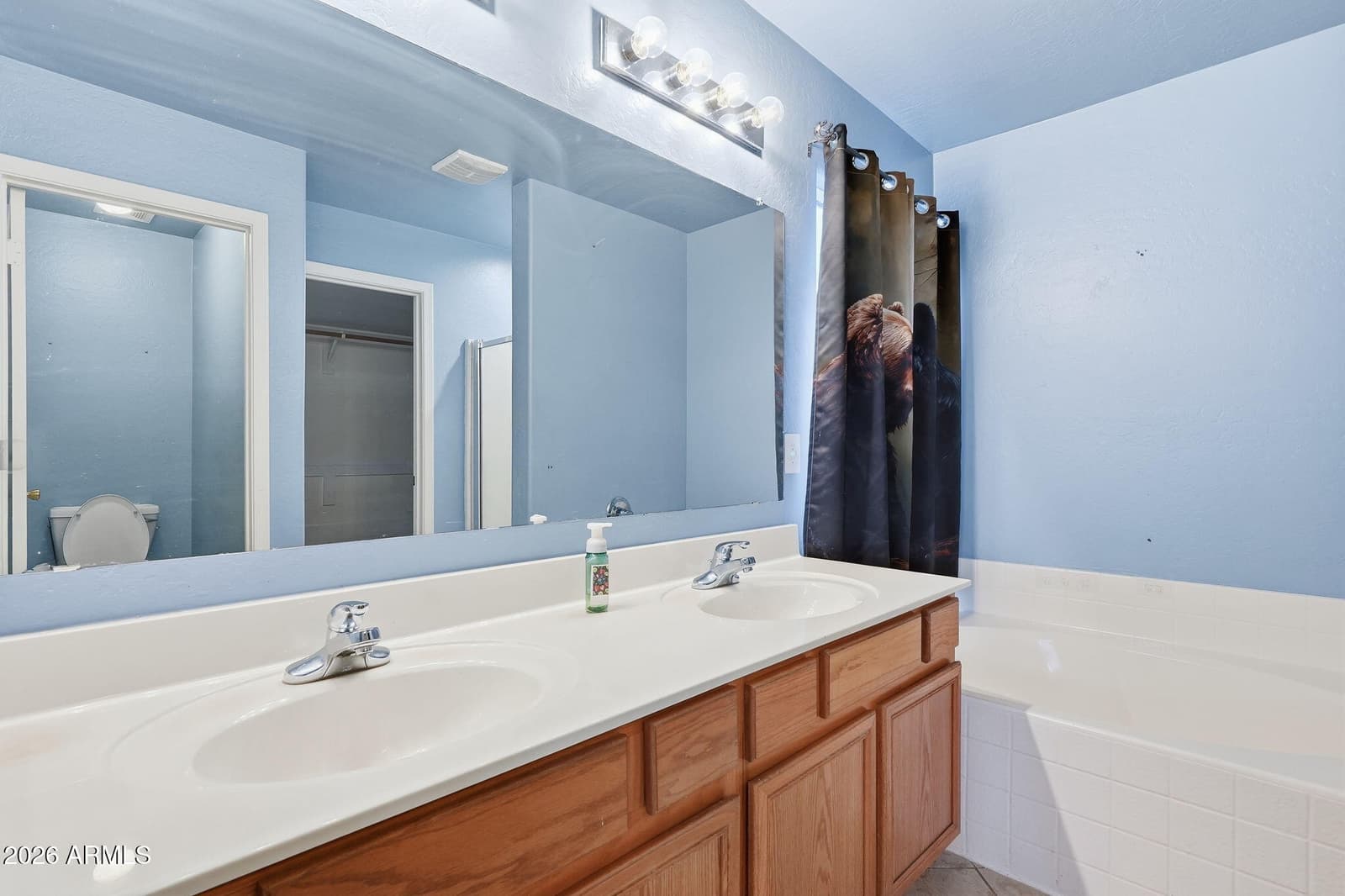 16387 W Monte Cristo Avenue, Surprise, AZ 85388 — photo 27 of 38